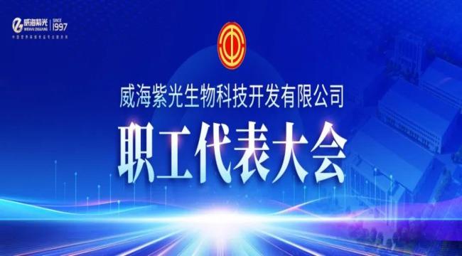 [ Care for Employees ] Weihai Ziguang 2024 6th First Employee Representative Conference